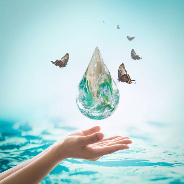 istock World ocean day,, saving water campaign, sustainable ecological ecosystems concept with green earth on woman's hands on blue sea background 1137176983