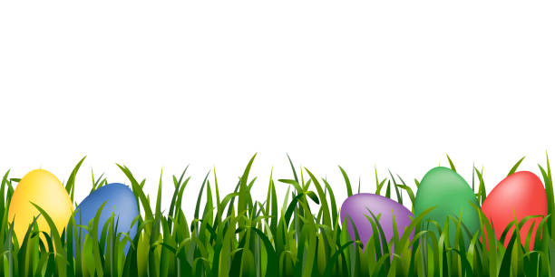 ilustrações de stock, clip art, desenhos animados e ícones de element with grass and color eggs for easter design. vector. - red easter blue frame