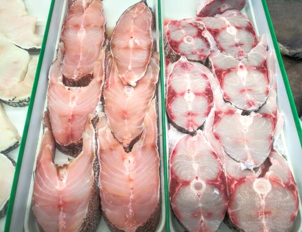 istock Halibut fish fillet - retail display seafood 1137181298
