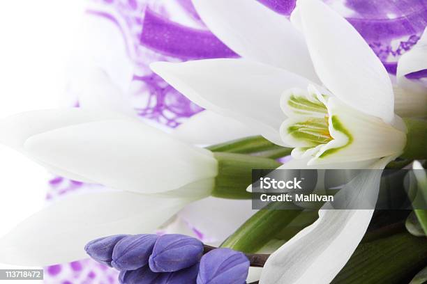 Foto de Flores Da Primavera e mais fotos de stock de Azul - Azul, Beleza, Botânica - Assunto