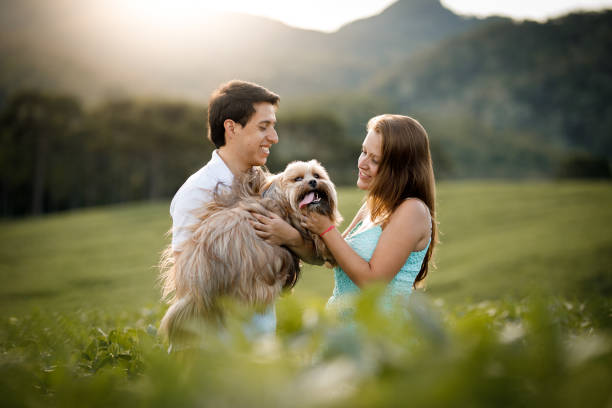 Couple with their dog in the fields.