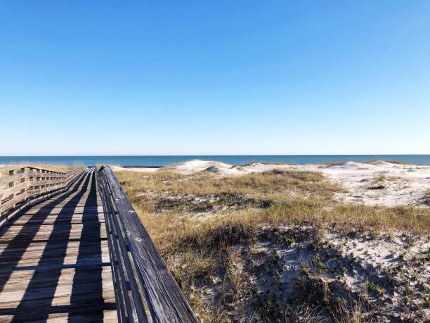 istock Wooden boardwalk on the beach 1137188739