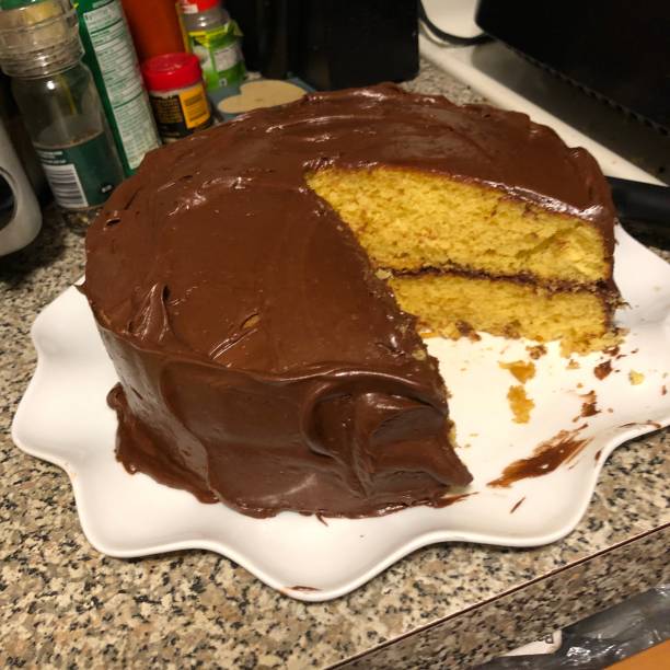 istock Homemade Chocolate Frosted layer Cake 1137196853