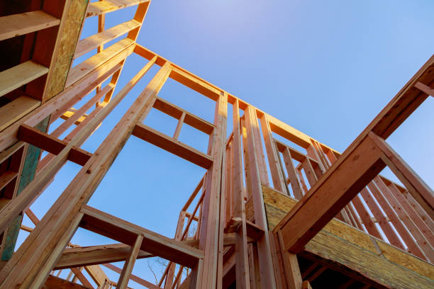 istock Looking up new construction beams under a clear blue sky with sunlight 1137201757