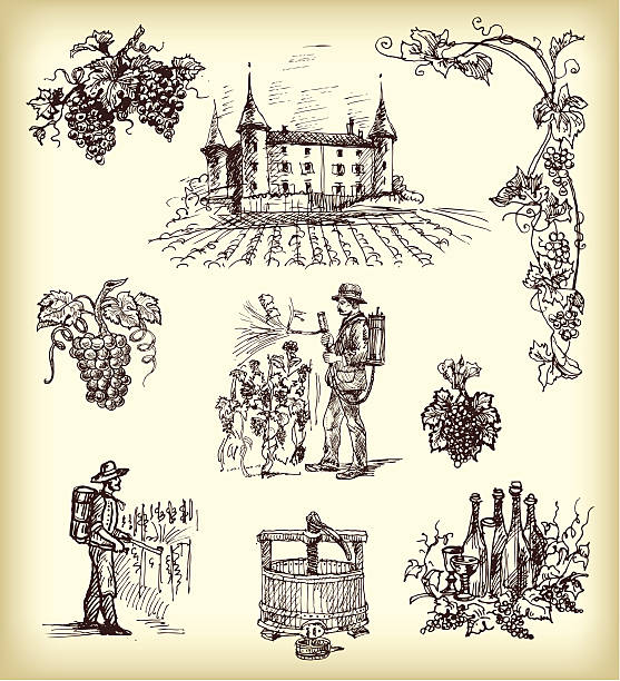 Hand drawn vector wine elements Hand drawn vector wine elements. Vector art in Adobe illustrator EPS format. The document is set up at A4 size, but can be scaled to any size without loss of quality. farmer drawings stock illustrations