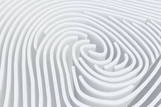 Photo of 3D Fingerprint Maze