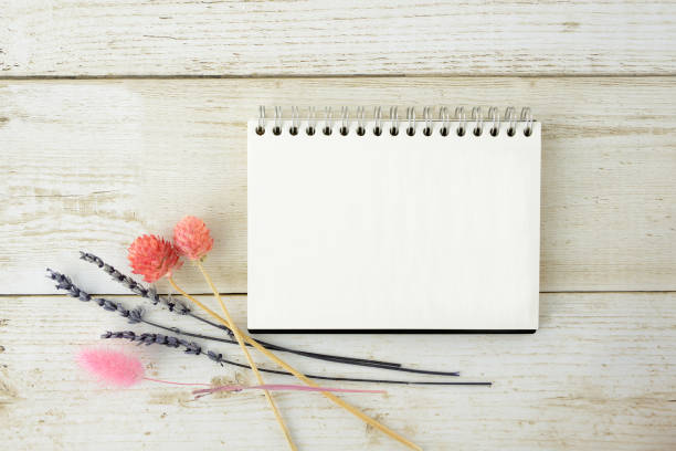 istock Sketchbook and dried flower 1137232779