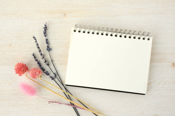 istock Sketchbook and dried flower 1137232789