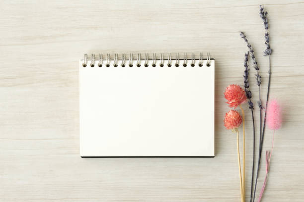 istock Sketchbook and dried flower 1137232800