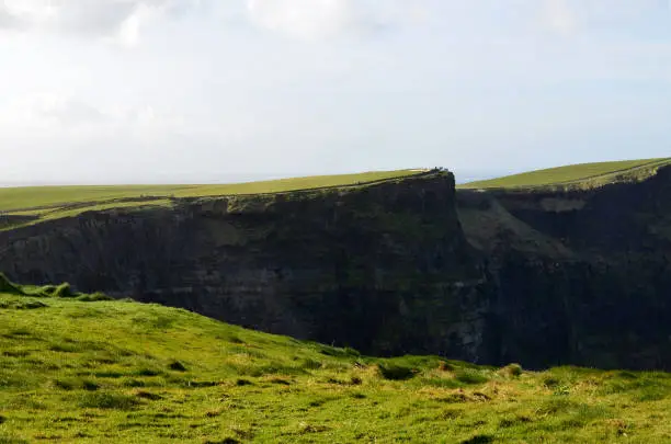 Amazing lush green grass fields surrounding the towering Cliff's of Moher.