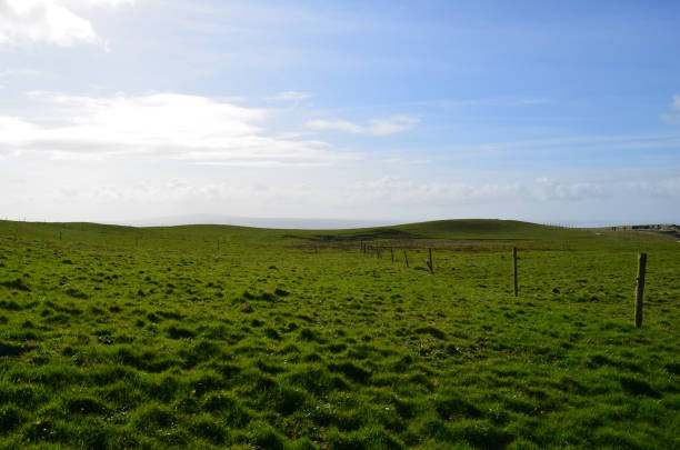 Ireland's grass field abutting the Cliff's of Moher in Ireland.