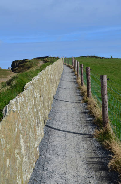 istock Burren Way on the Cliffs of Moher in Ireland 1137235138
