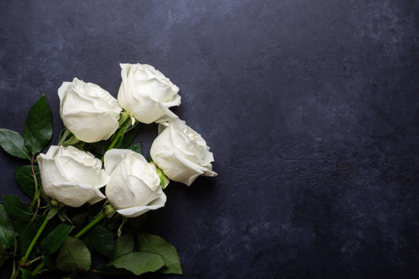 istock White rose flowers bouquet on black stone background 1137241912