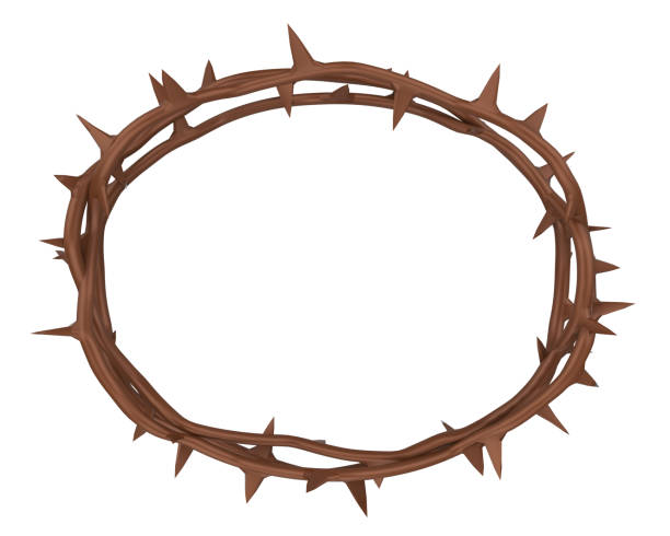 istock Crown of Thorns Isolated 1137249432