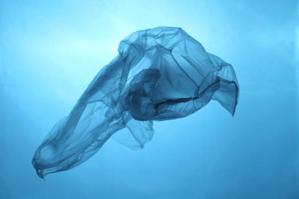 istock Plastic bag in blue water, garbage under water, plastic pollution of the oceans 1137249433