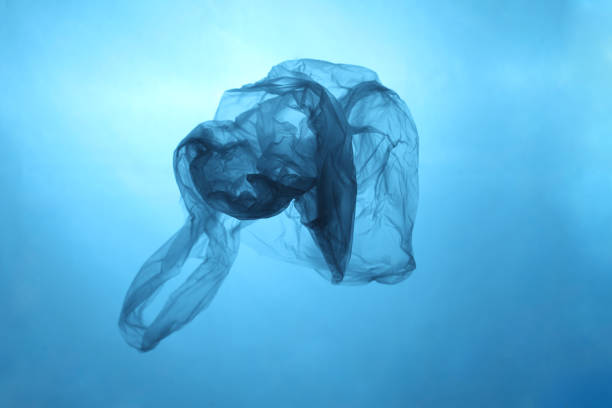 istock Plastic bag in blue water, garbage under water, plastic pollution of the oceans 1137249435