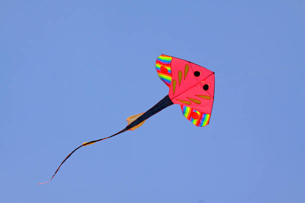 istock sole modelling kite floating in the sky 1137249459