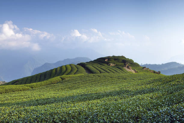 istock Jiayi;Xiding Er Yanping Mountain;footpath 1137249820