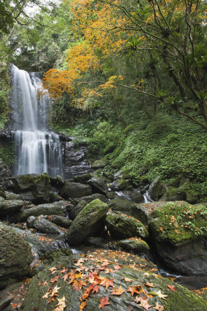 istock Travel in Taiwan 1137250125