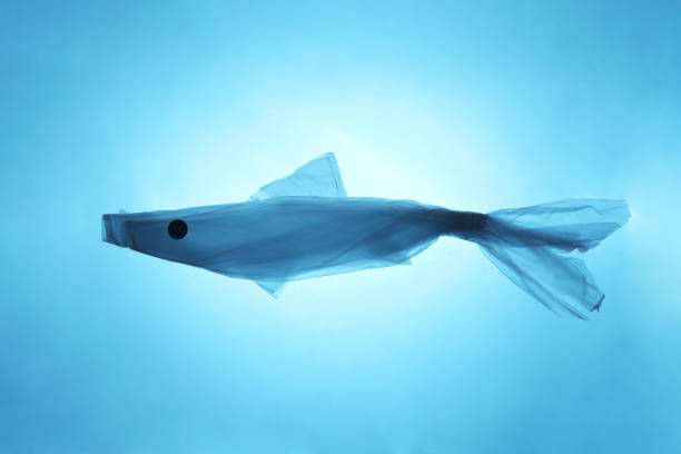 istock Concept ocean fish from a plastic bag. Total pollution of the ocean with garbage 1137250203