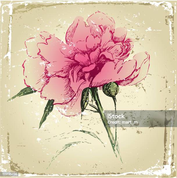 Fiore Di Peonia Disegnati A Mano - Immagini vettoriali stock e altre immagini di Bellezza naturale - Bellezza naturale, Bocciolo, Contorno - Forma