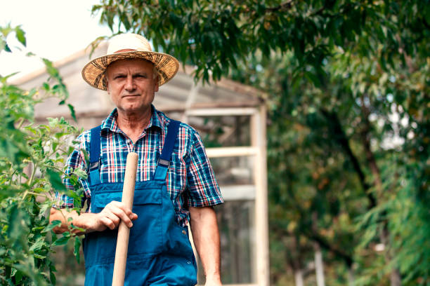 istock Farmer in the organic garden 1137261365