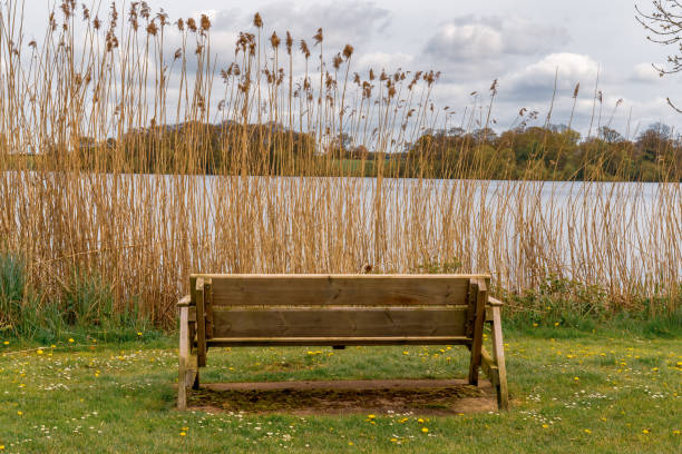istock The Mere, Ellesmere, Shropshire, UK 1137262818