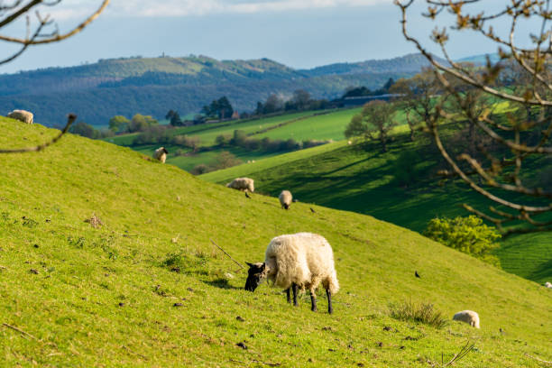 istock Between Church Stretton and Hope Bowdler, Shropshire, England, UK 1137263068