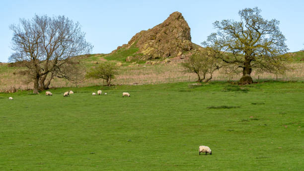 istock Between Church Stretton and Hope Bowdler, Shropshire, England, UK 1137263076