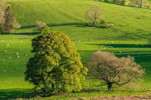 View from Hope Bowdler Hill, near Church Stretton, Shropshire, England, UK
