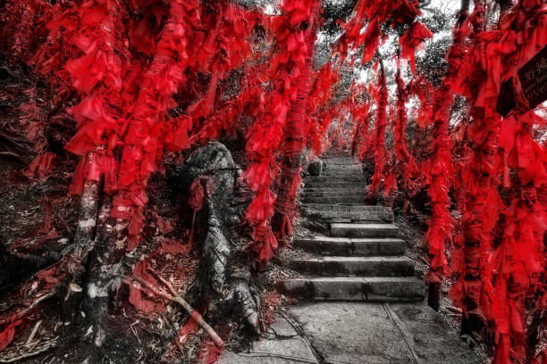 istock Zhangjiajie National Forest Park China 1137274402