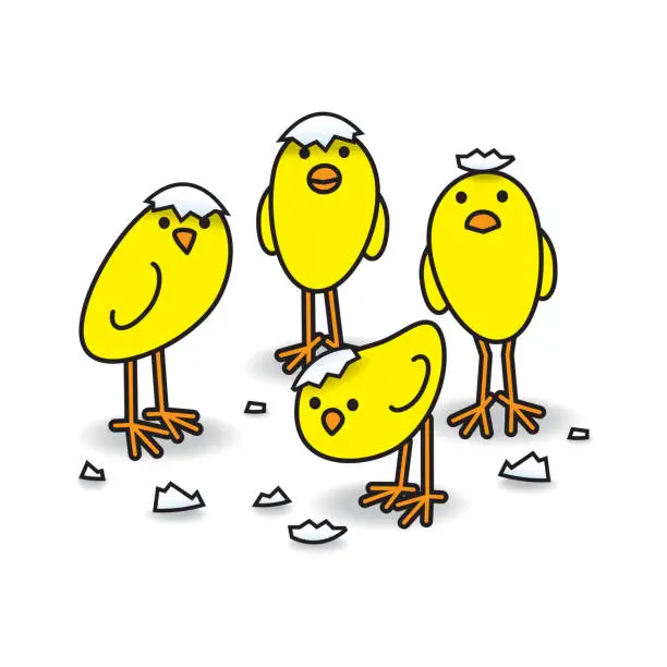 Vector illustration of Four Cute Freshly Hatched Staring Yellow Chicks