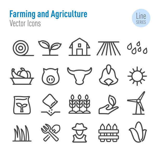 illustrations, cliparts, dessins animés et icônes de agriculture et agriculture icônes-vector line series - seed human hand wheat cereal plant