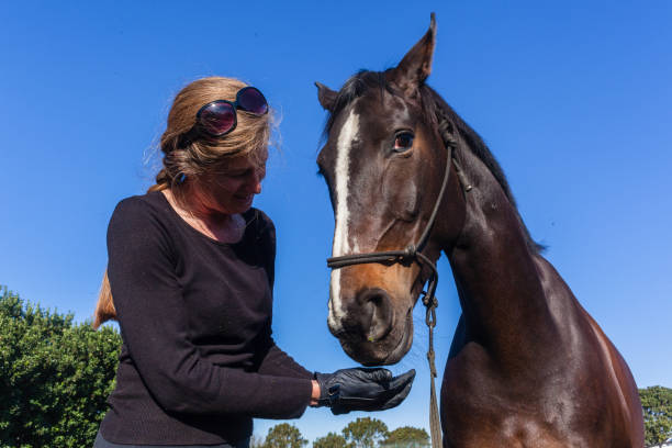 istock Woman Horse Training Feeding Outdoors Equestrian Arena 1137284201