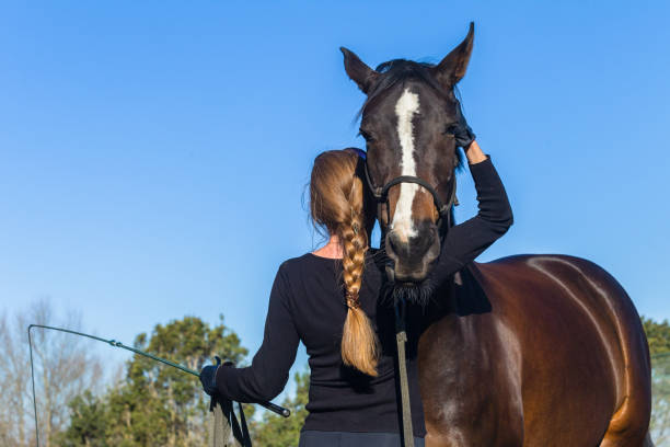 istock Woman Horse Training Feeding Outdoors Equestrian Arena 1137284297