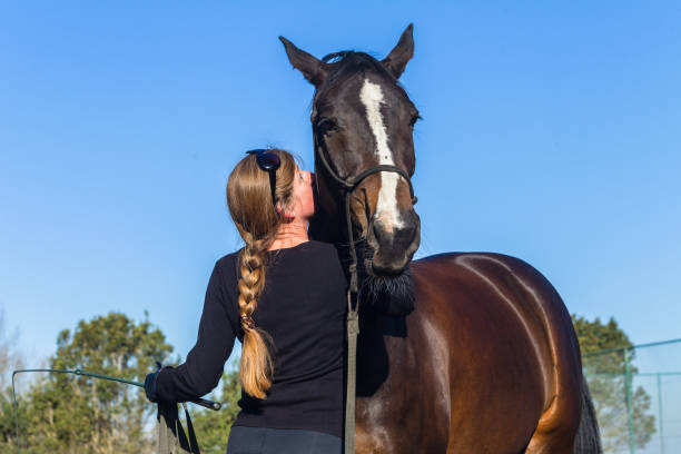 istock Woman Horse Training Feeding Outdoors Equestrian Arena 1137284359
