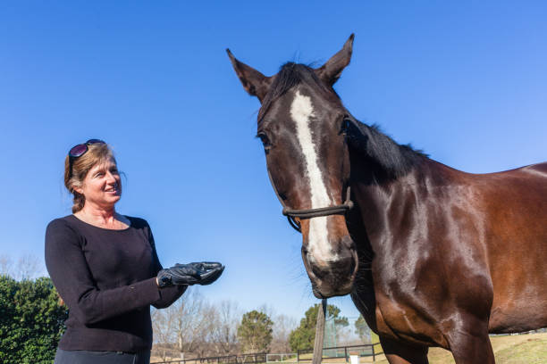 istock Woman Horse Training Feeding Outdoors Equestrian Arena 1137284597
