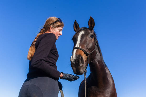 istock Woman Horse Training Feeding Outdoors Equestrian Arena 1137284607