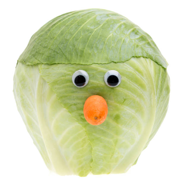 zabawna twarz kapusty - sauerkraut cabbage vegetable white cabbage zdjęcia i obrazy z banku zdjęć