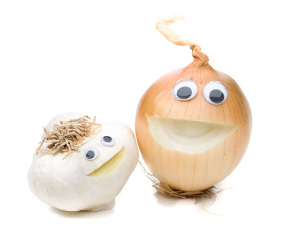 3,833 Witty Onion Stock Photos, Pictures & Royalty-Free Images - iStock