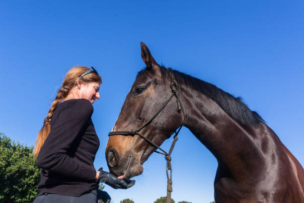 istock Woman Horse Training Feeding Outdoors Equestrian Arena 1137284880