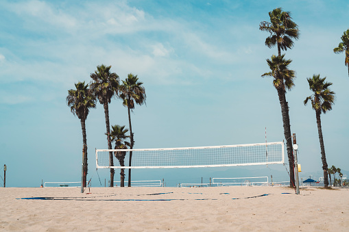 Palm trees and beach volley on Venice beach. Beautiful sunny summer day on sandy beaches.