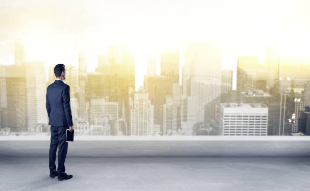 istock Businessman looking at a big city panorama 1137289094