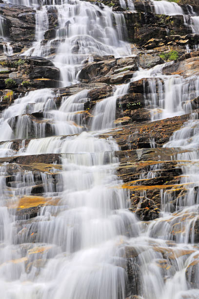 istock Beautiful view of Mae Ya Waterfall on full background 1137293128
