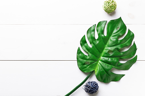 Tropical leaves monstera on a white wooden background. Copy space. Flat lay. Top view