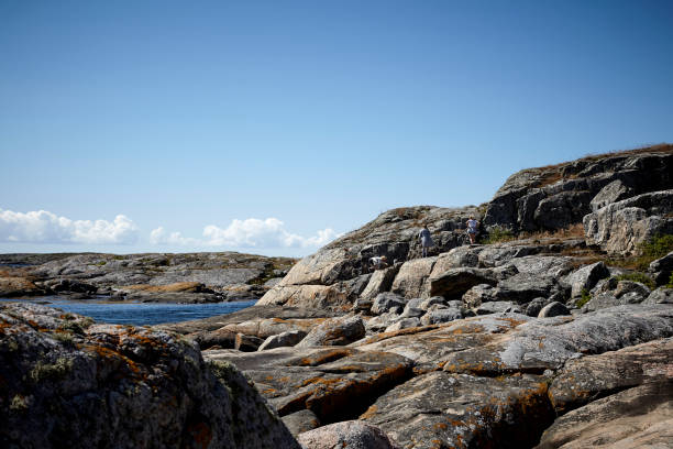 istock Rock and cliff landscape by the sea 1137299158