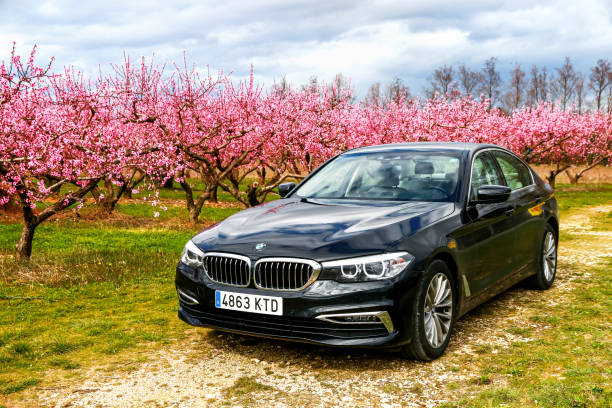 bmw 520d - storm summer forest cloudscape imagens e fotografias de stock