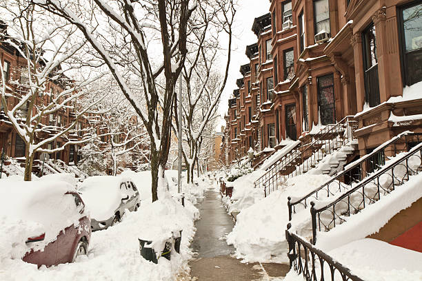 istock Brownstones Buried in Snow 113730284