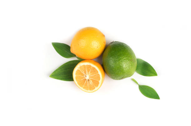 istock Lemon and  lime on the white background 1137303345