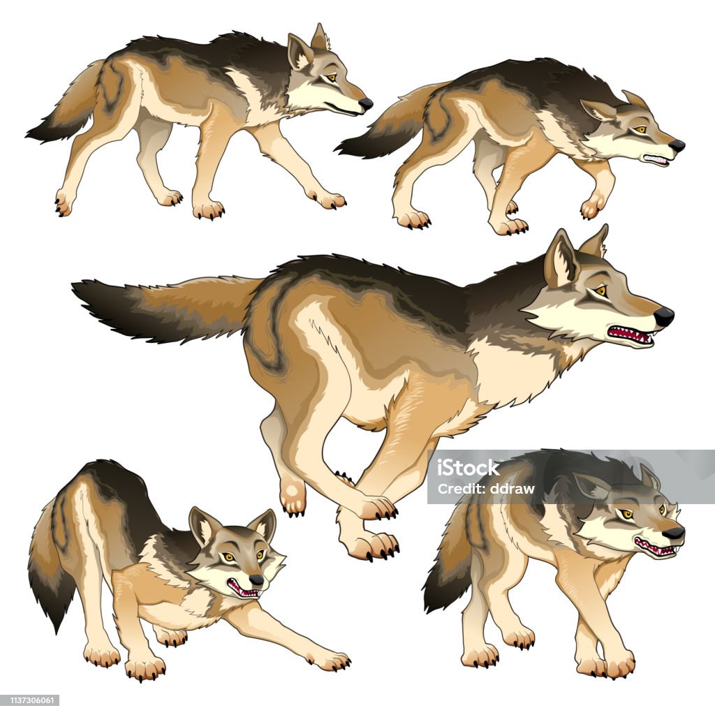 Isolated Wolves Group Of Isolated Wolves Stock Illustration - Download Image Now - Dog ...